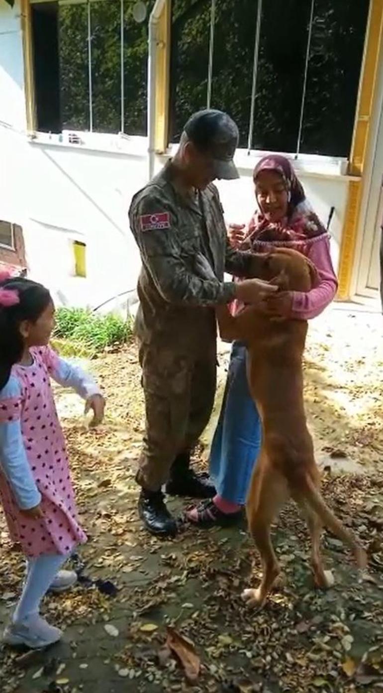 Fino, terhis olan sahibinin üzerine atladı