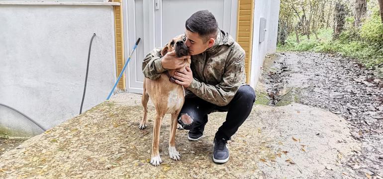 Fino, terhis olan sahibinin üzerine atladı