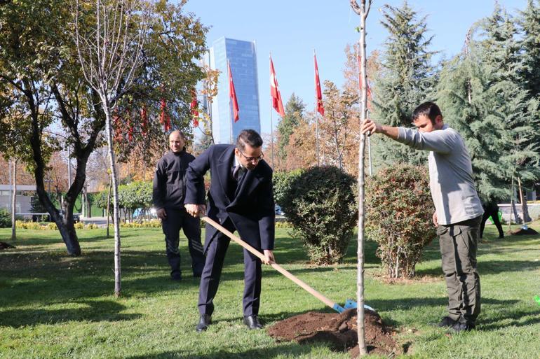 Dışişleri Bakanlığında 44 fidan toprakla buluşturuldu