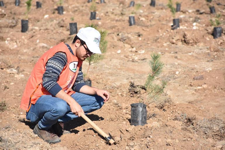 Eskişehirde 15 noktada 49 bin fidan toprakla buluşturuldu