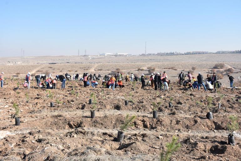 Eskişehirde 15 noktada 49 bin fidan toprakla buluşturuldu