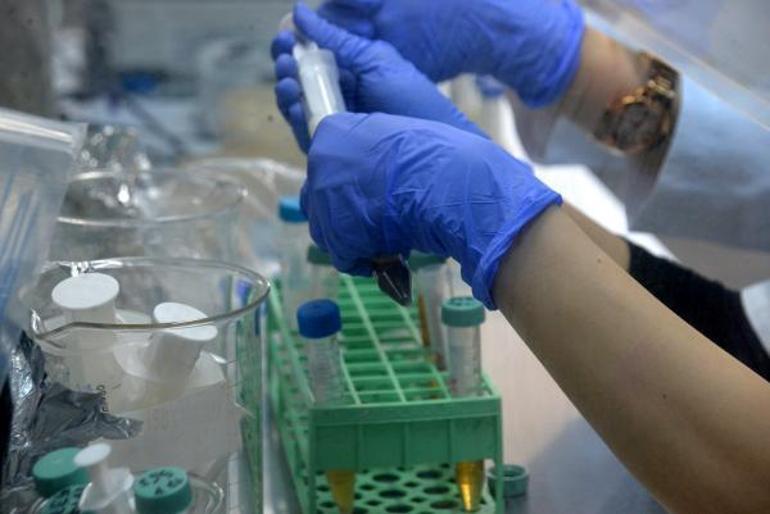 Bitkilerde su stresinin önlenmesinde 2 bakterinin etkililiği araştırılıyor