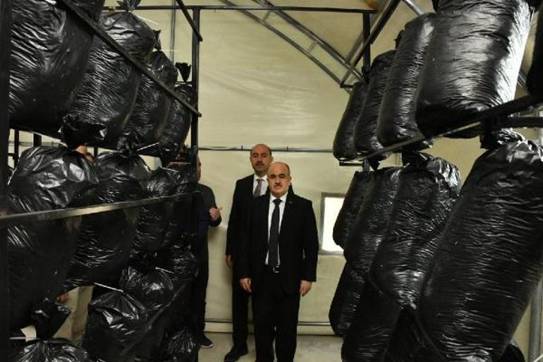 Vali Dağlı: Bu yıl Samsunda 71 mantar zehirlenmesi vakası oldu