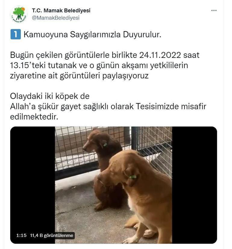 Mamak’ta köpeklere işkence iddiasıyla barınak önünde eylem yaptılar