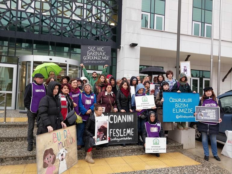 Pitbull cinayetinde dinlenen tanık: Köpeği öldürdüğünü bana anlattı