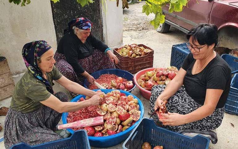 Yörük kadınların 'nar ekşisi' mesaisi - Son Dakika Gündem Haberleri