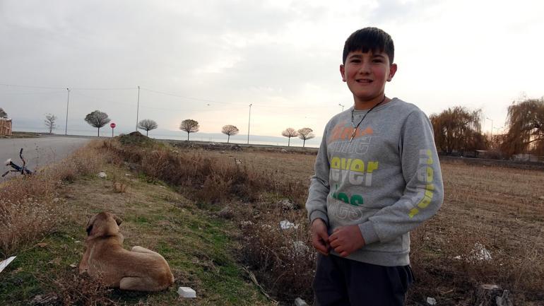 Otomobilin çarptığı yaralı köpeğe, 11 yaşındaki Samet sahip çıktı