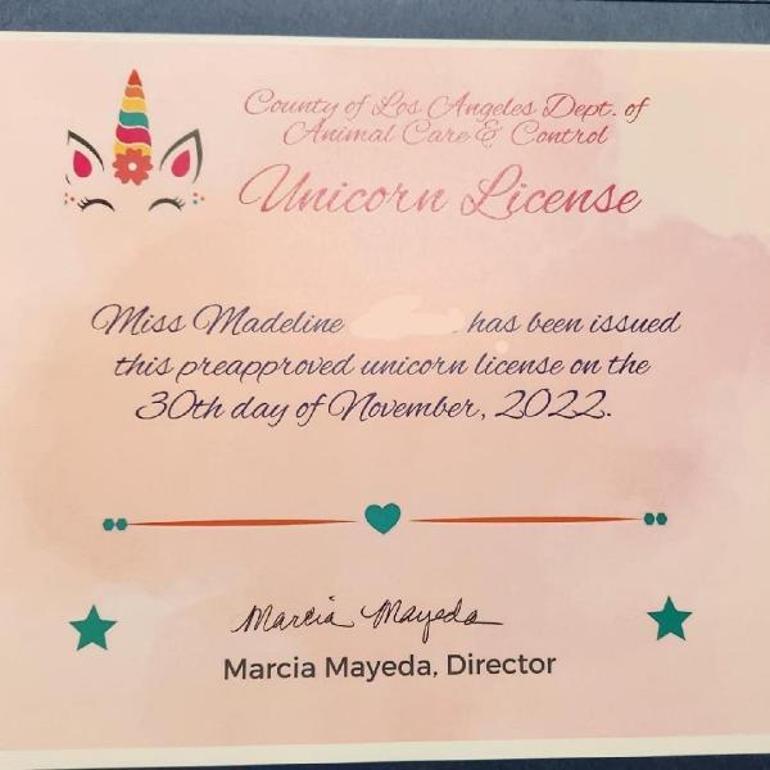 Küçük kız ‘eğer bulabilirse’ tek boynuzlu at edinme izni istedi, yetkililer de izni verdi