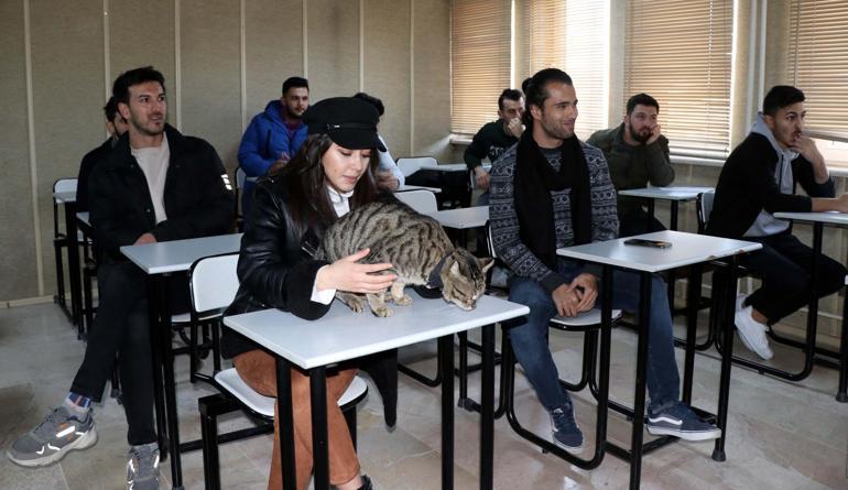 4 yıl önce yaralı bulunan Tigyy, fakültenin maskotu oldu