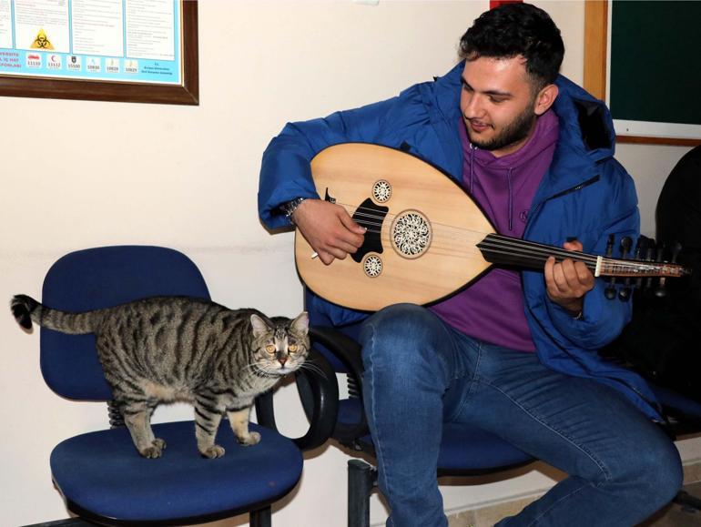 4 yıl önce yaralı bulunan Tigyy, fakültenin maskotu oldu