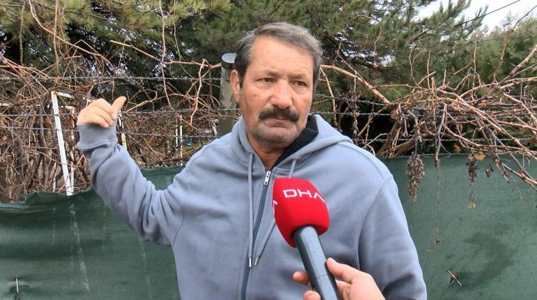 Mühürlü hayvanat bahçesinden kaçan aslan yola indi; o anlar kamerada