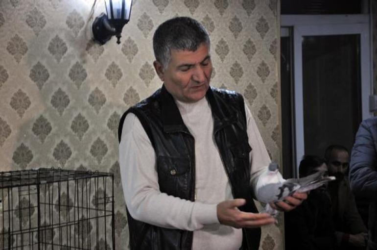 Diyarbakır’ın yerel 18 ırk güvercini sergilendi
