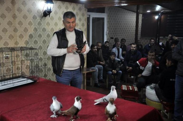 Diyarbakır’ın yerel 18 ırk güvercini sergilendi