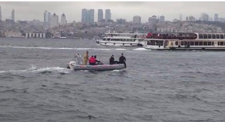 Üsküdar Sahili açıklarında ölü yunus bulundu