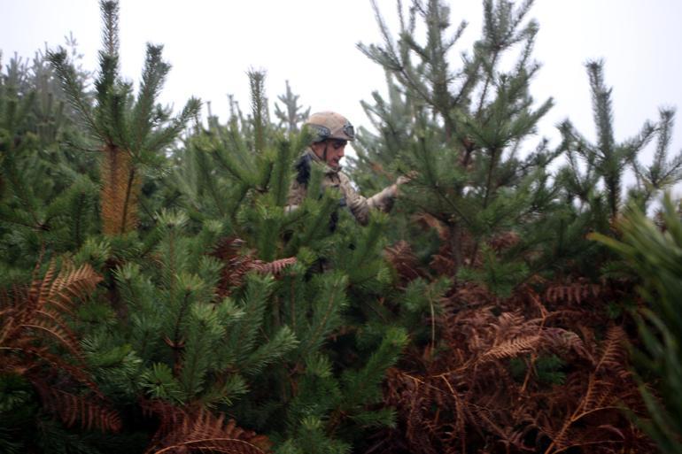 Tokatta kayıp kadın için sis altında arama çalışması
