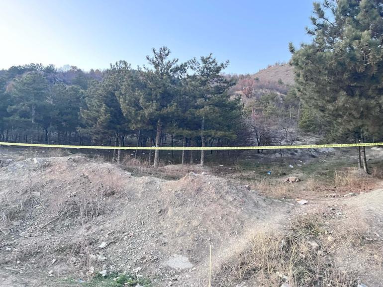 Ankarada tüfekle vurulmuş 4 köpek ölüsü bulundu