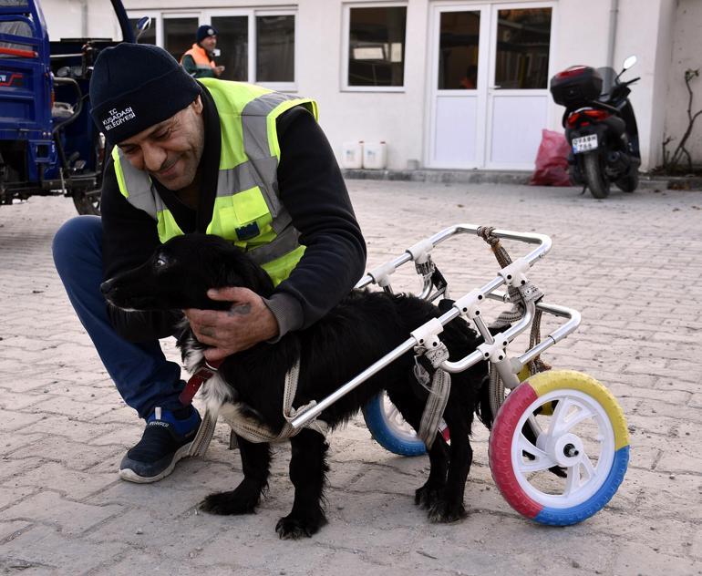 Fizik tedavi sonrası yürüteçle yürümeye başlayan Karam, yuvasına kavuştu