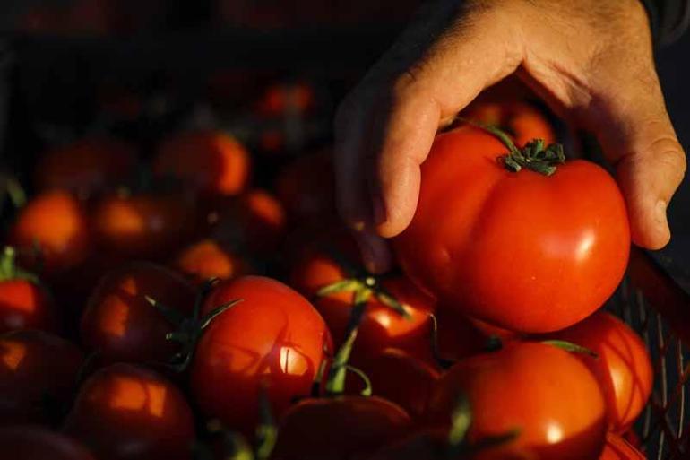 Sebze ve meyve ihracatında hedef 2021 rakamları