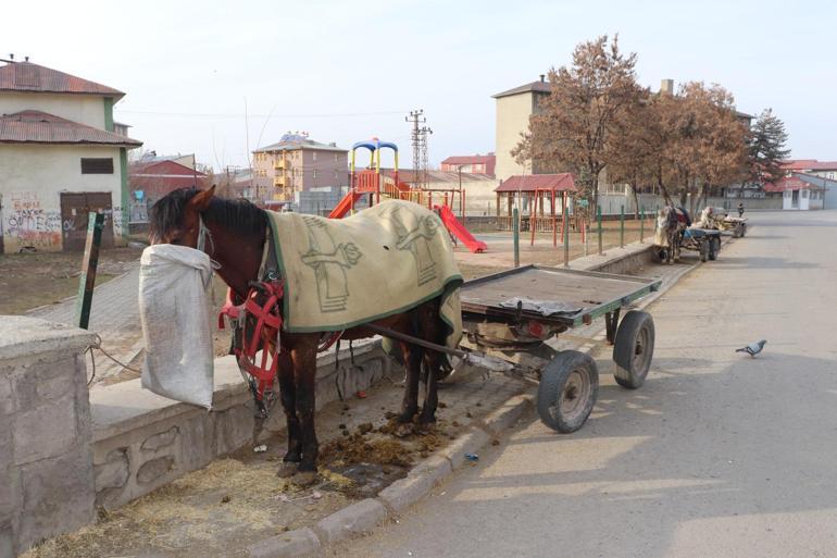 Ağrı buz kesti