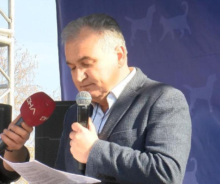 Hayvanseverlerden sokak hayvanları için bakımevi ve kısırlaştırma talebi