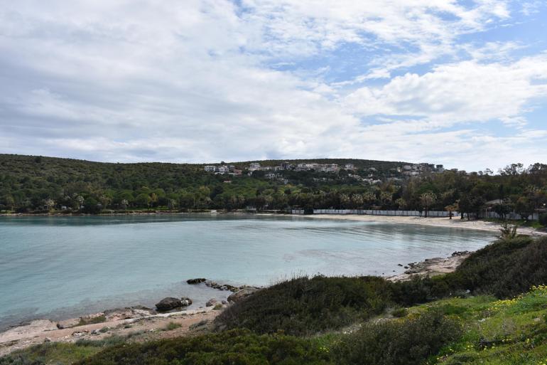 Paşalimanı Koyundaki 120 dönüm arsaya ihtiyati tedbir kararı