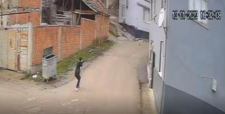 Kovaladığı köpeği tüfekle öldürdü; o anlar kamerada