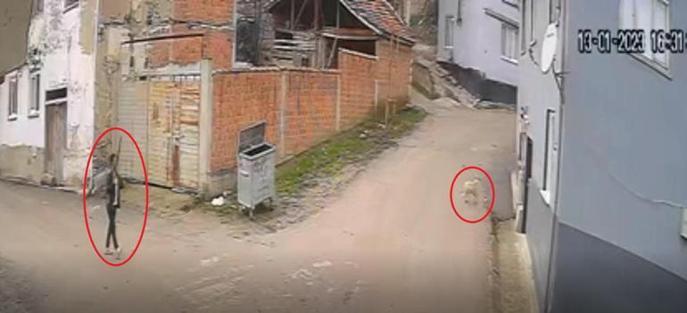 Kovaladığı köpeği tüfekle öldürdü; o anlar kamerada