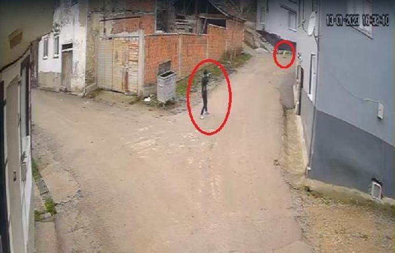 Kovaladığı köpeği öldüren şüpheli, dakikalar önce bir başka köpeği daha vurmuş