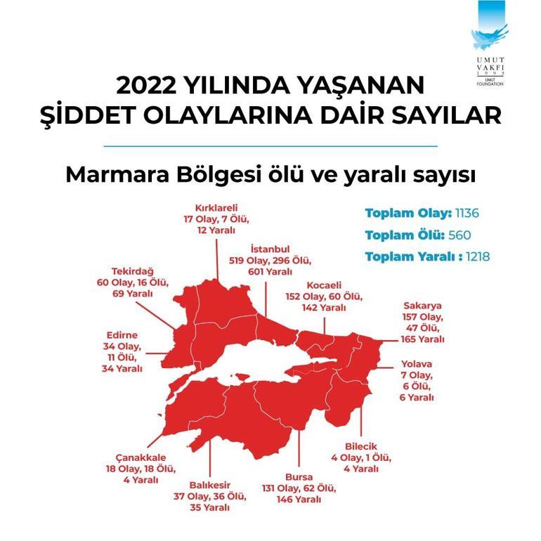 Türkiye Silahlı Şiddet Raporu: 2022’de 2 bin 278 kişi öldürüldü