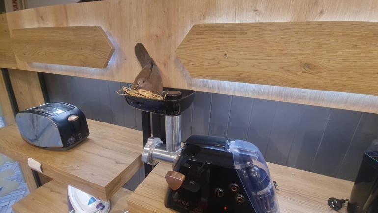 Kıyma makinesine yuva yapan kuşun yavrularının yumurtadan çıkmasını bekliyorlar