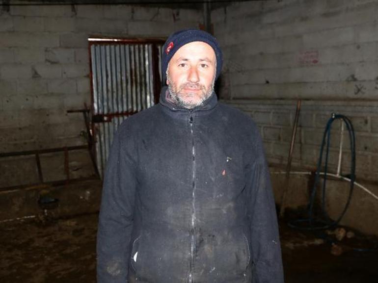 Kurbanlık boğalarını depremzedelere bağışladılar; yardım kampanyasının öncüsü oldular