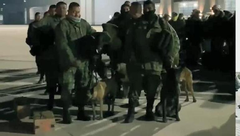 Arama kurtarma köpekleri nasıl eğitiliyor