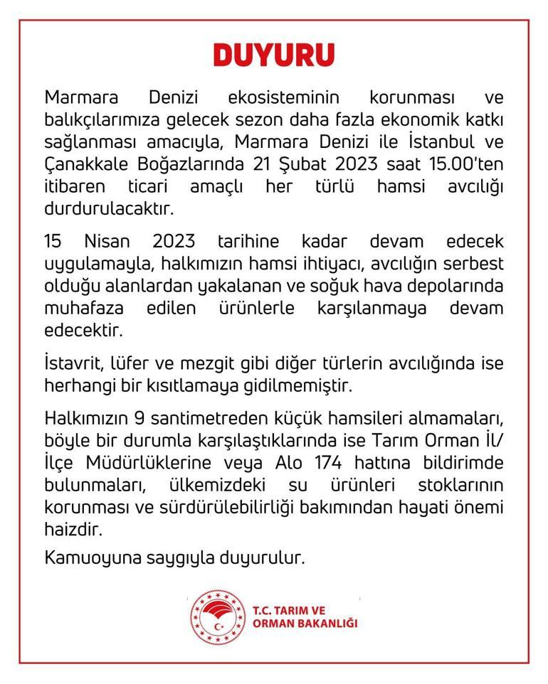 Boğazlarda ve Marmara Denizinde hamsi avcılığı 15 Nisan 2023e kadar durdurulacak