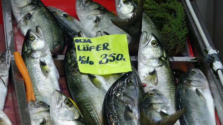 Boğazda hamsi avı yasaklandı, Çanakkalede lüferin kilosu 350 TLye düştü