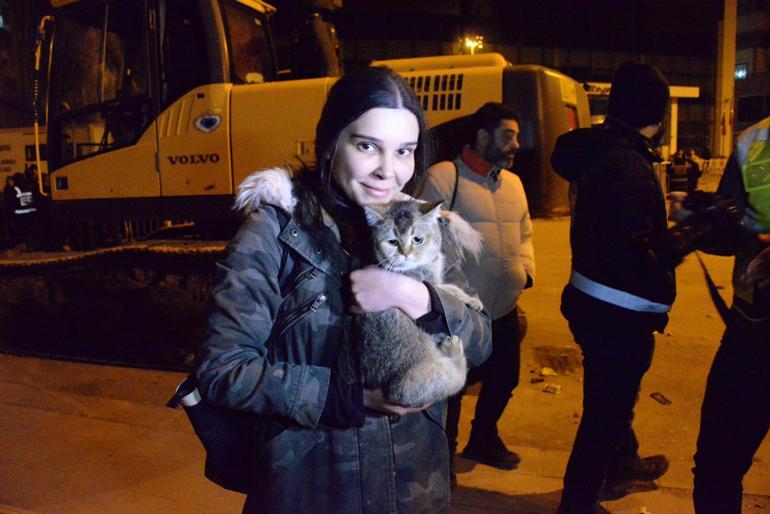 89 kişinin öldüğü Galeria Sitesi’ndeki kurtarılan kedi sayısı 7ye çıktı