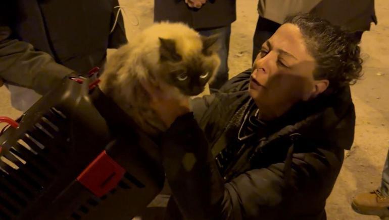 89 kişinin öldüğü Galeria Sitesi’ndeki kurtarılan kedi sayısı 7ye çıktı