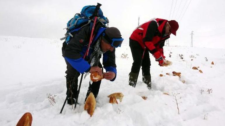 Tırmanış yaptıkları dağa, yaban hayvanları için ekmek ve su bıraktılar