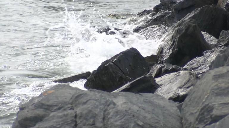 ODTÜ deprem sonrası tsunami raporunu tamamladı: 20 santimetre su düzeyi değişiklikleri ölçülmüştür