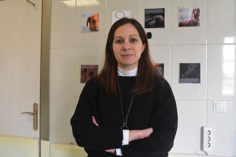 Arama-kurtarma köpeklerinin psikososyal desteğe ihtiyacı var