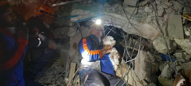 Kabındaki mama ile 25 gün hayatta kalan Fıstık, kurtarıldı