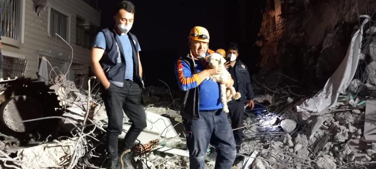 Kabındaki mama ile 25 gün hayatta kalan Fıstık, kurtarıldı