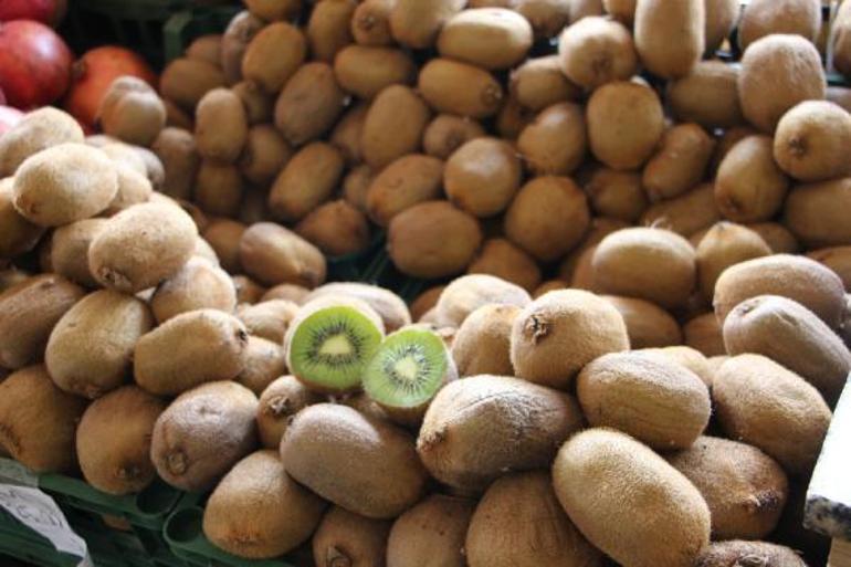 Değişen iklimle Karadenizde tropik meyve üretimi denemeleri yapılıyor