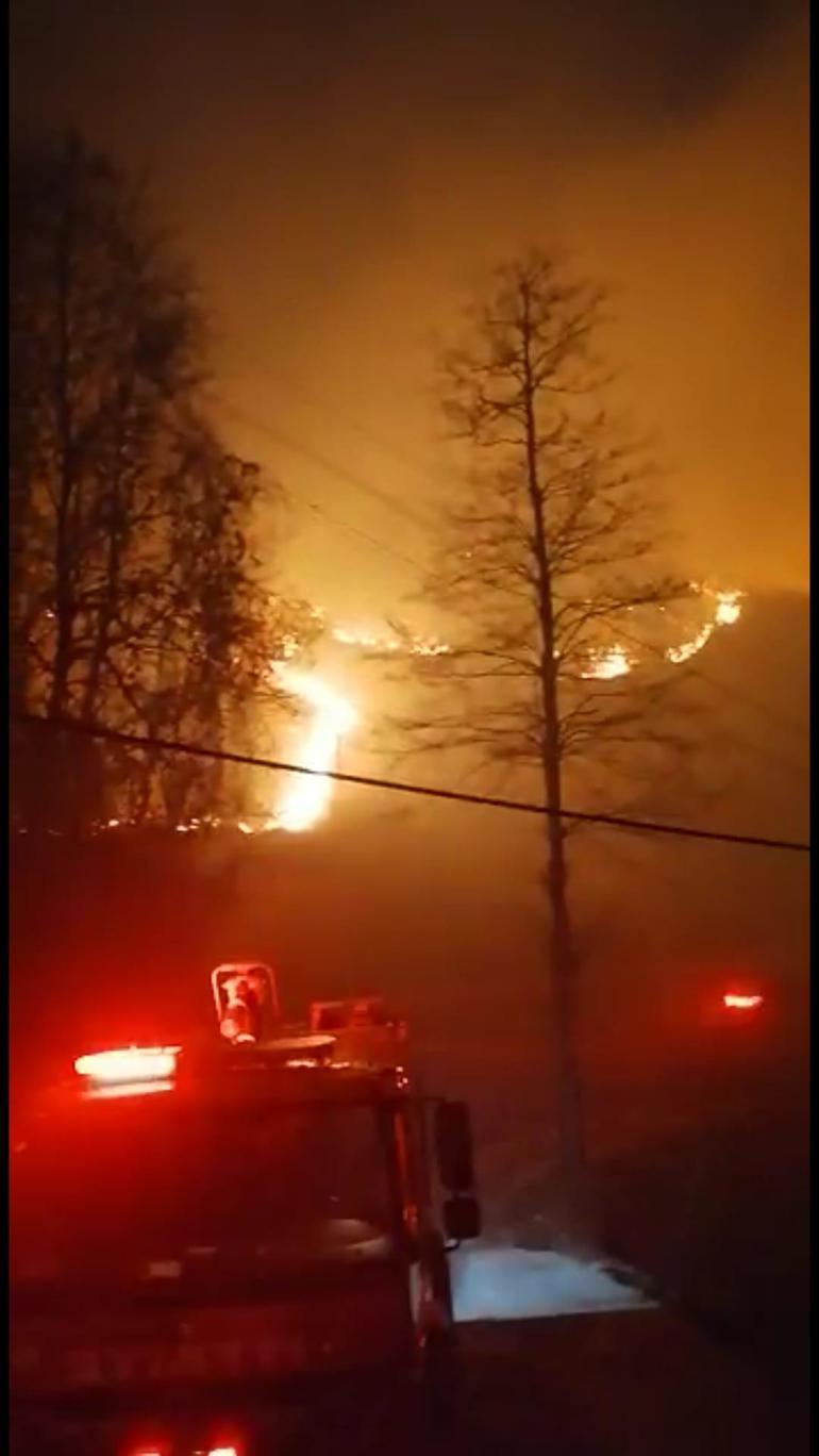 Trabzon Ofta örtü yangını