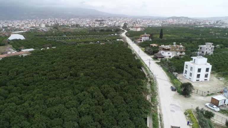 Samandağlı üreticilerin, DSİnin tarımsal sulama kararından dönülmesi isteği