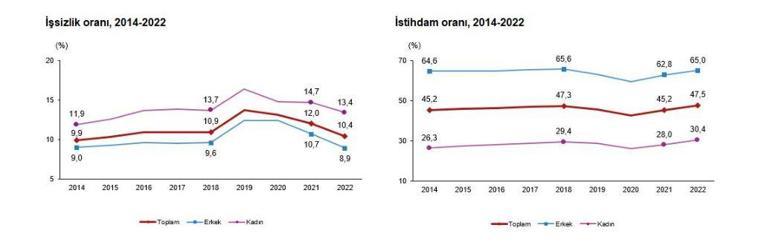 TÜİK: 2022 yılı işsizlik oranı yüzde 10,4