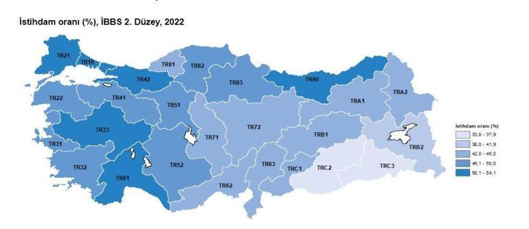 TÜİK: 2022 yılı işsizlik oranı yüzde 10,4