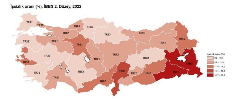 TÜİK: 2022 yılı işsizlik oranı yüzde 10,4