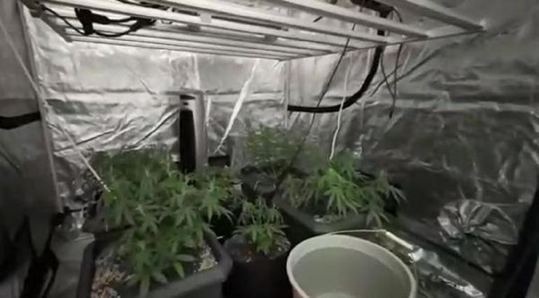 Adanada 212 kişinin gözaltına alındığı Kökünü Kurutma Operasyonu kamerada