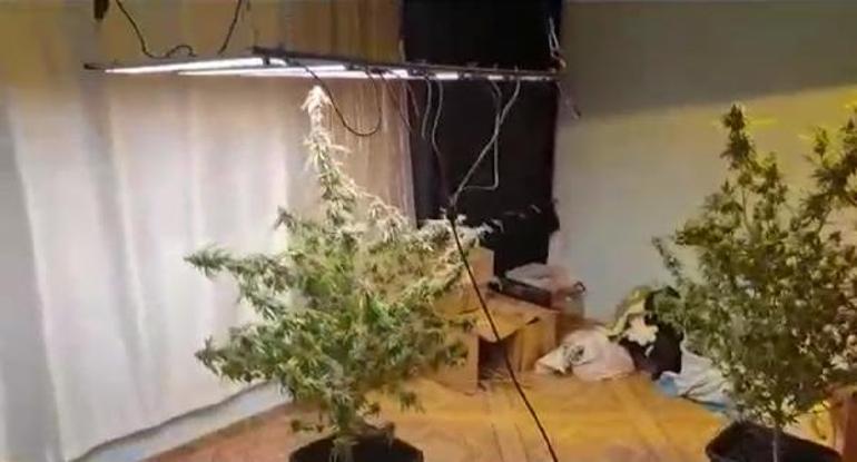 Adanada 212 kişinin gözaltına alındığı Kökünü Kurutma Operasyonu kamerada