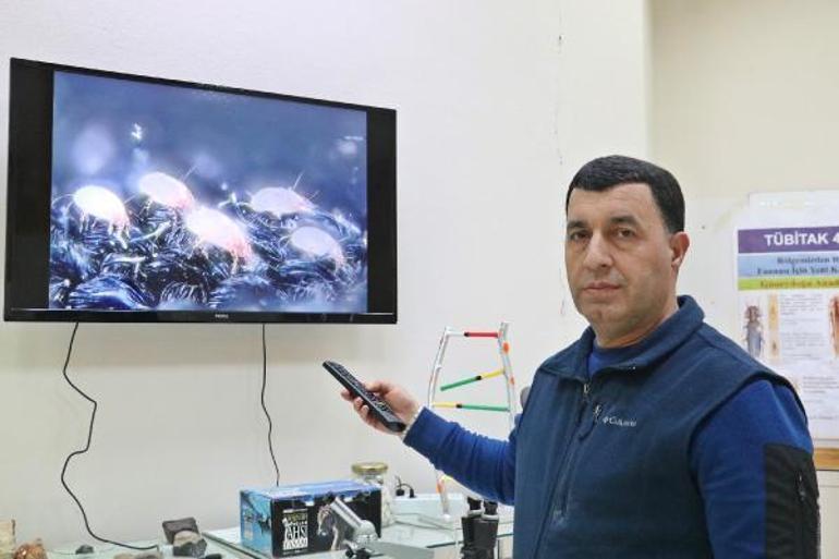 Prof. Dr. Satar: ‘Mayt’lar, çocuklarda ciddi sağlık problemlerine yol açabilir